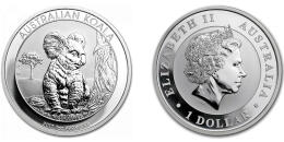 Austrálska Koala