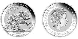 Austrálska Koala