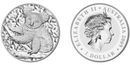 Austrálska Koala