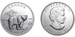 Medveď Grizzly