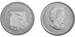 Sova Rohatá