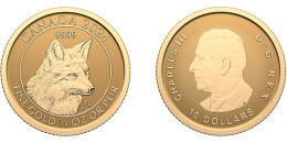 Červená líška