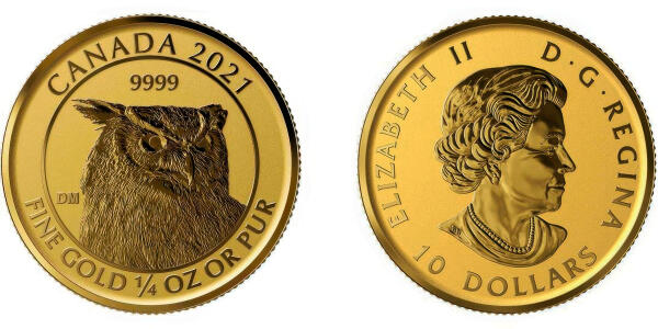 Sova Rohatá